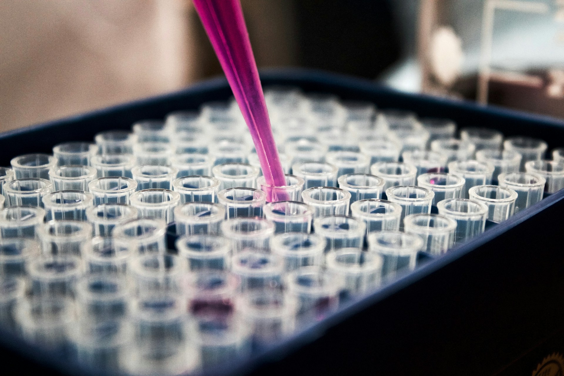 Illustration OSE Immunotherapeutics, Inserm Transfert et Nantes Université © louis reed  unsplash